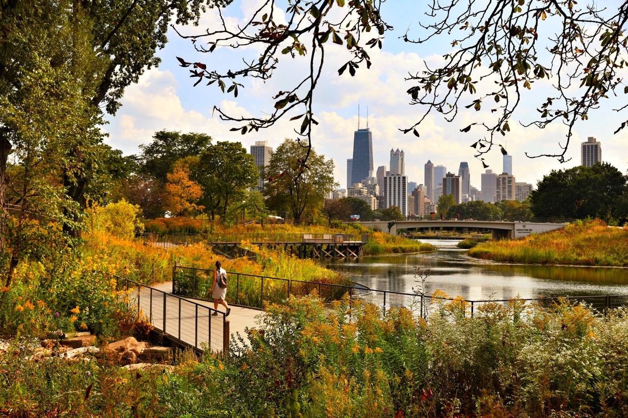 Spend the day in Lincoln Park